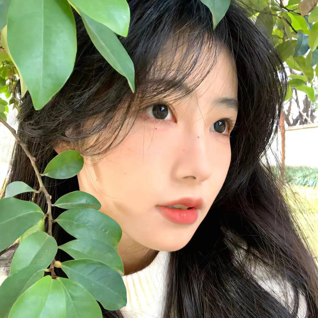 绝代双骄动画版